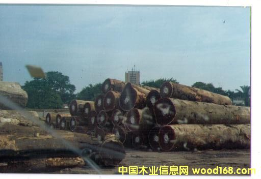 ����鿴��̴�Ŵ�ͼƬ