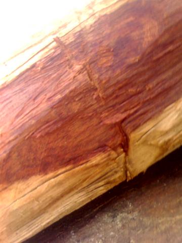 ����鿴�컨��Ŵ�ͼƬ