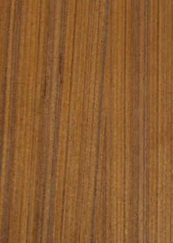 ��ľ����ϸ����