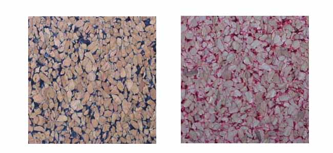 ����鿴��ɫ��ľ�Ŵ�ͼƬ