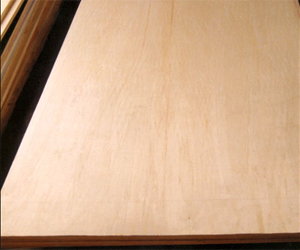 ����鿴��ľ���ϰ�Ŵ�ͼƬ