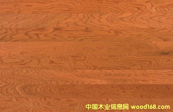 WoodbridgeWOHarvestϸ