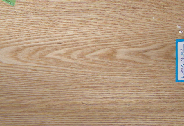 ����鿴chinese ash�Ŵ�ͼƬ