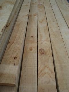 �~���m��ľ����ϸ����