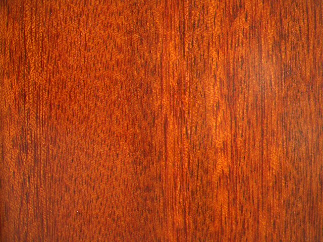 ����鿴�̱�ɣʵľ���ϵذ�Ŵ�ͼƬ