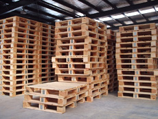 㽺ϰְ̡塢̡塢ϰ̵ϸ