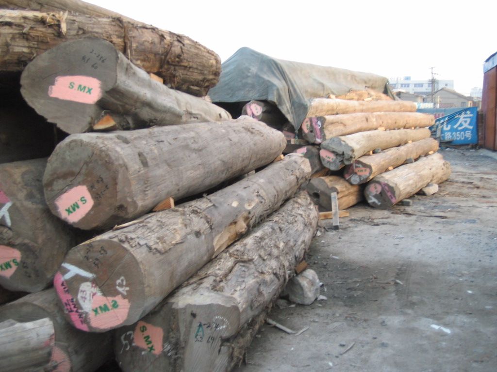 ����鿴��ľ�Ŵ�ͼƬ