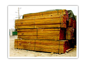 ����鿴�������ϸ����