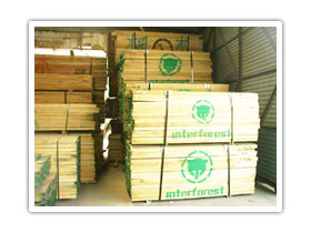 ����鿴������Ȼ��ľ�Ŵ�ͼƬ