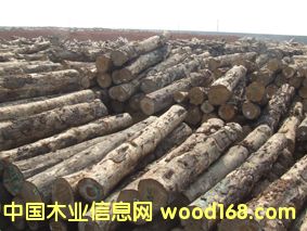 ����鿴������������4�Ŵ�ͼƬ