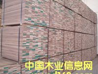 ����鿴�ں��ҹ���ϷŴ�ͼƬ