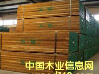 ����鿴�ں��Ұ�ķŴ�ͼƬ