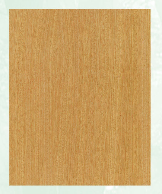 ����鿴ɳ�����Ŵ�ͼƬ