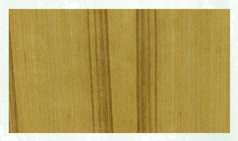 ����鿴��̩�ַŴ�ͼƬ