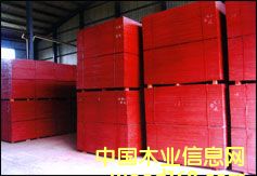 ����鿴��ɫ�ߵ���Ĥ����ģ��Ŵ�ͼƬ