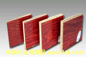 ����鿴��ɫ�ߵ���Ĥ����ģ��Ŵ�ͼƬ