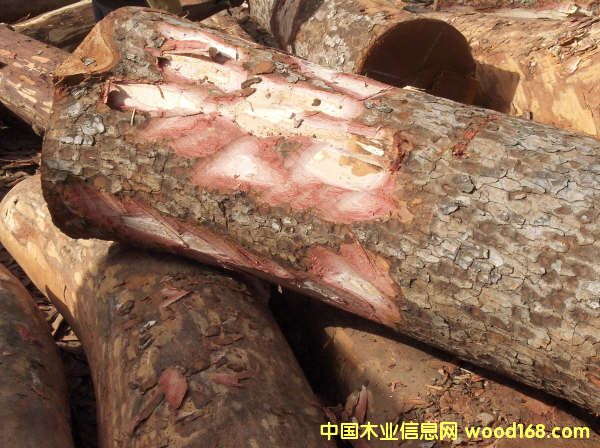 ����鿴�����һ��ķŴ�ͼƬ