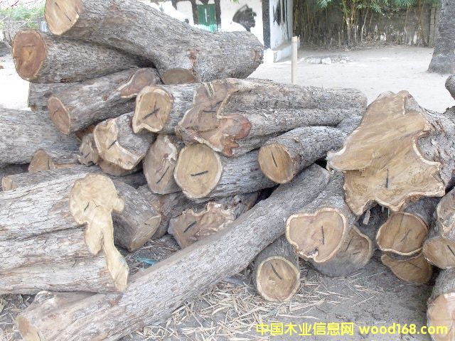 ����鿴�����ǻ���ԭľ�Ŵ�ͼƬ