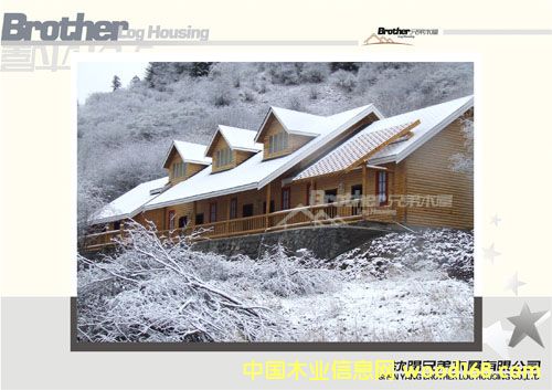 ����鿴ľ�� ľ���� �ȼ�Сľ�ݷŴ�ͼƬ