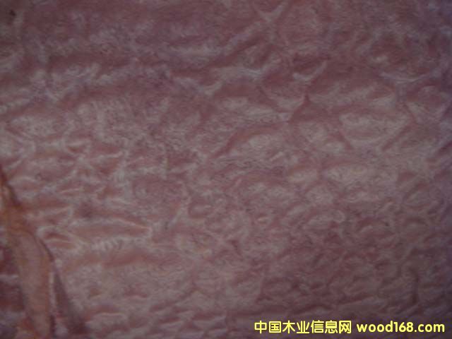 ����鿴��ɳ�Ŵ�ͼƬ