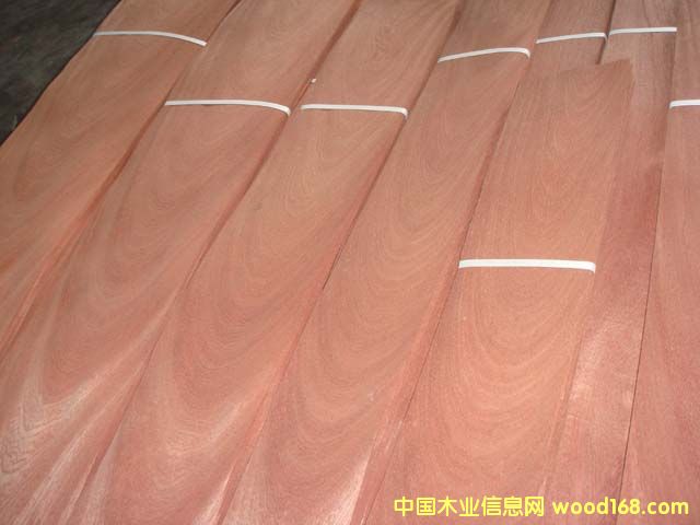 ����鿴ɳ�����Ŵ�ͼƬ