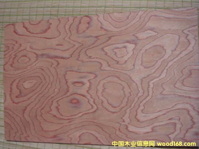 ����鿴EPӣ�������Ŵ�ͼƬ