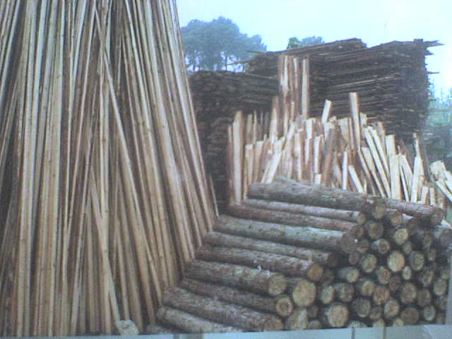 ����鿴ɼľ�Ŵ�ͼƬ