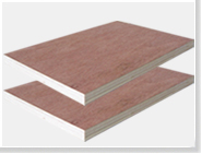 ����ľ�ĵ���ϸ����