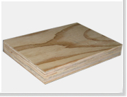 ����ľ�ĵ���ϸ����