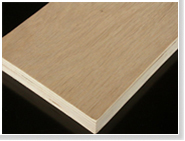 ����ľ�ĵ���ϸ����