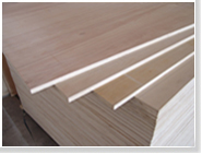 ����ľ�ĵ���ϸ����