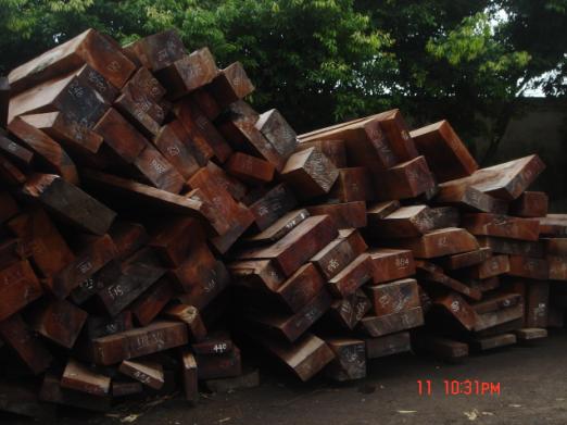 ����鿴Խ�ϲݻ���Ŵ�ͼƬ