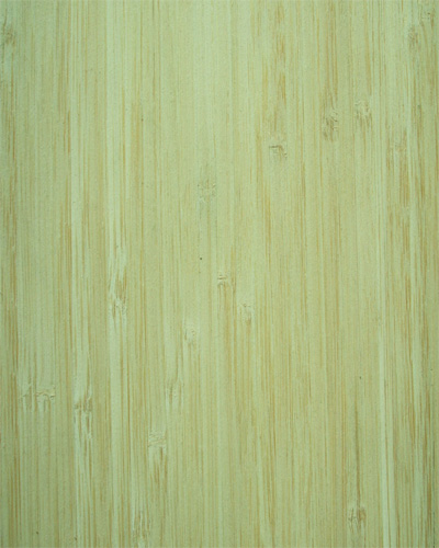 ����鿴��Ƥ��̼�ࣩ����ϸ����