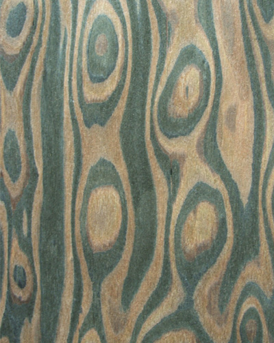 ����鿴��̴��������ϸ����