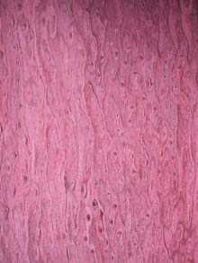 ����鿴��è�۵���ϸ����