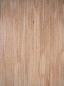 ����鿴ӣ��DL-910����ϸ����