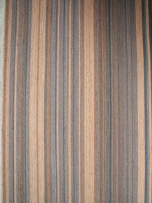 ����鿴��֦DL-S����ϸ����