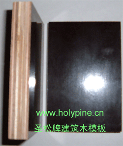 ʥƽģ,ְ,Ĥϰ,Ĥģϸ