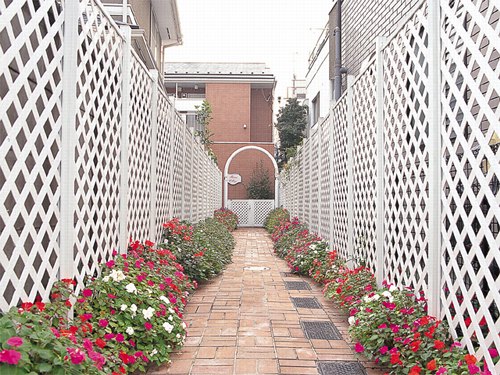 ����鿴����ľ�����Ŵ�ͼƬ