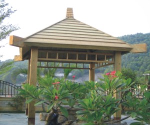 ����鿴��ͤ����ϸ����