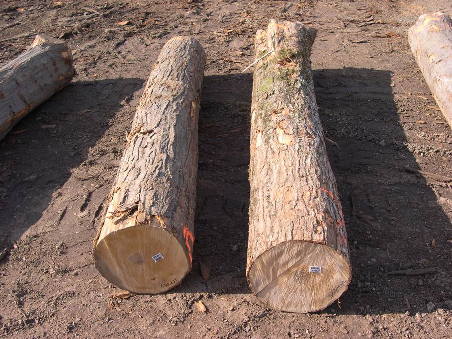 ����鿴����Ӳ��Ŵ�ͼƬ