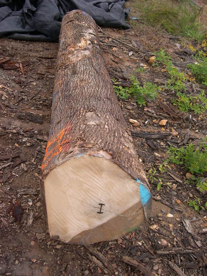 ����鿴����ˮ�����Ŵ�ͼƬ