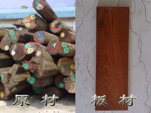 ����鿴�����ľ�Ŵ�ͼƬ