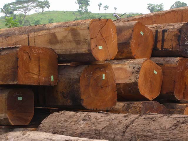 ����鿴���ܸ�ԭľ�Ŵ�ͼƬ