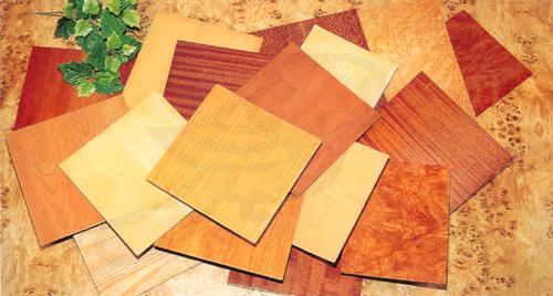 ����鿴plywood�Ŵ�ͼƬ