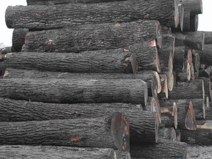 ����鿴�ں��ҷŴ�ͼƬ