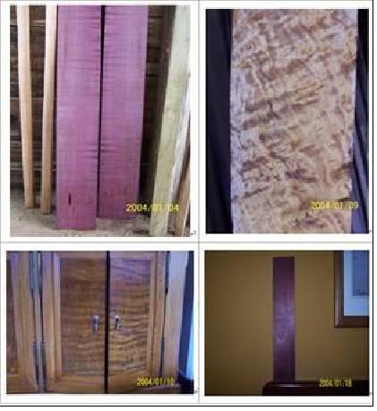 ����鿴��ľ�Ŵ�ͼƬ