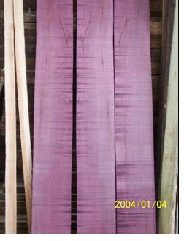 ����鿴��̴ľ�Ŵ�ͼƬ