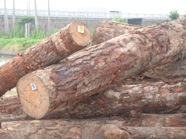 ����鿴������������ԭľ�Ŵ�ͼƬ