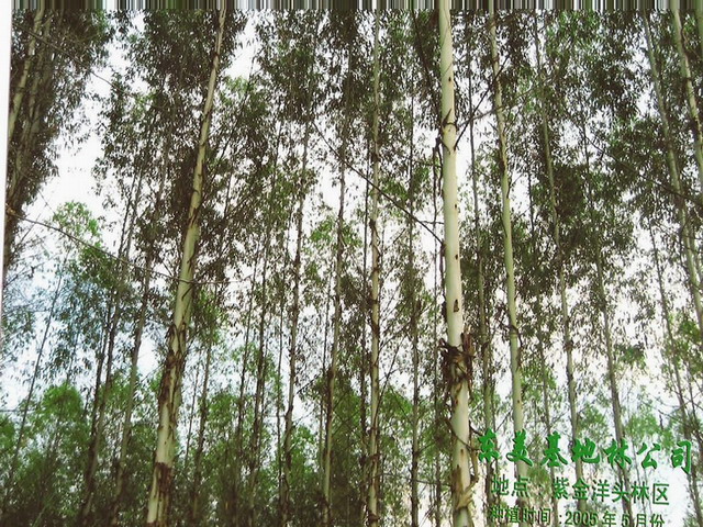 ����鿴���������Ŵ�ͼƬ